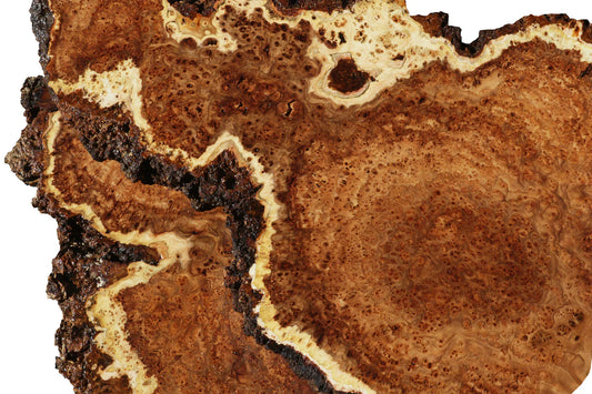 Know Your Woods: Elm Burl & Wenge from Cook Woods