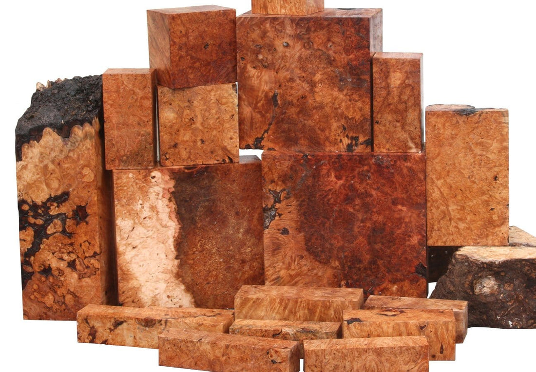 Oregon Big Leaf Maple Burl