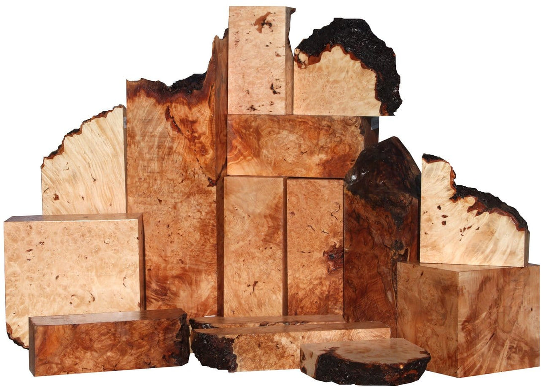 Magnificent Maple Burl Sale, Limited Supply