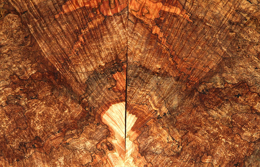 Season’s Best Maple Burl Lumber!