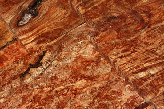 Maple Burl
