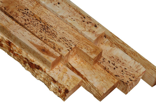 Masur Birch - Rare Species!