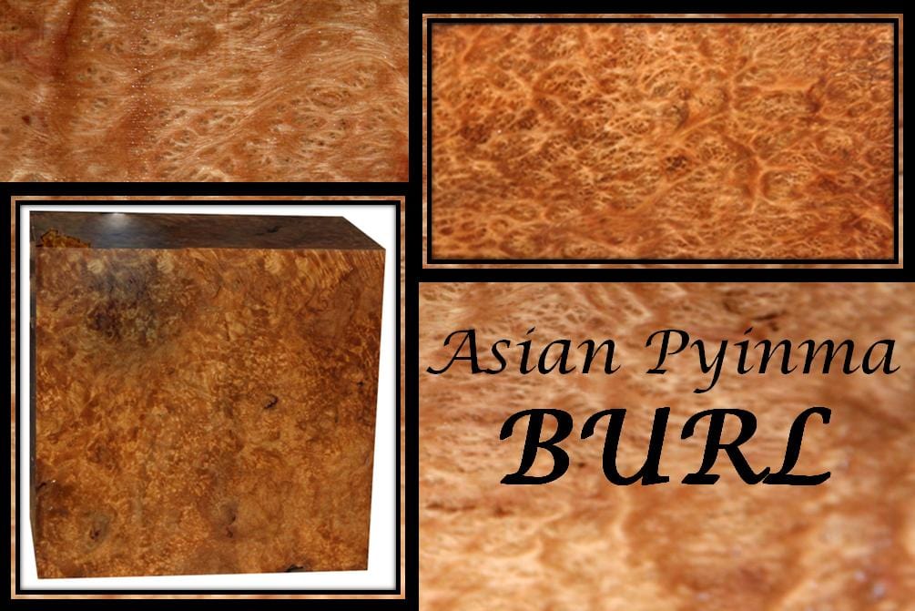 Museum Grade XF Asian Pyinma Burl – Cook Woods