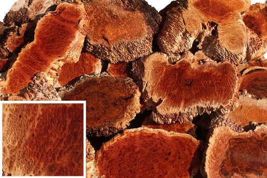 Australian Burls Have Arrived, Get First Pick
