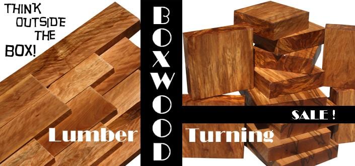 Think Outside the Box: Boxwood & Box Elder Duo!