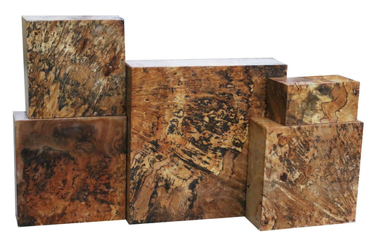 Sycamore Burl