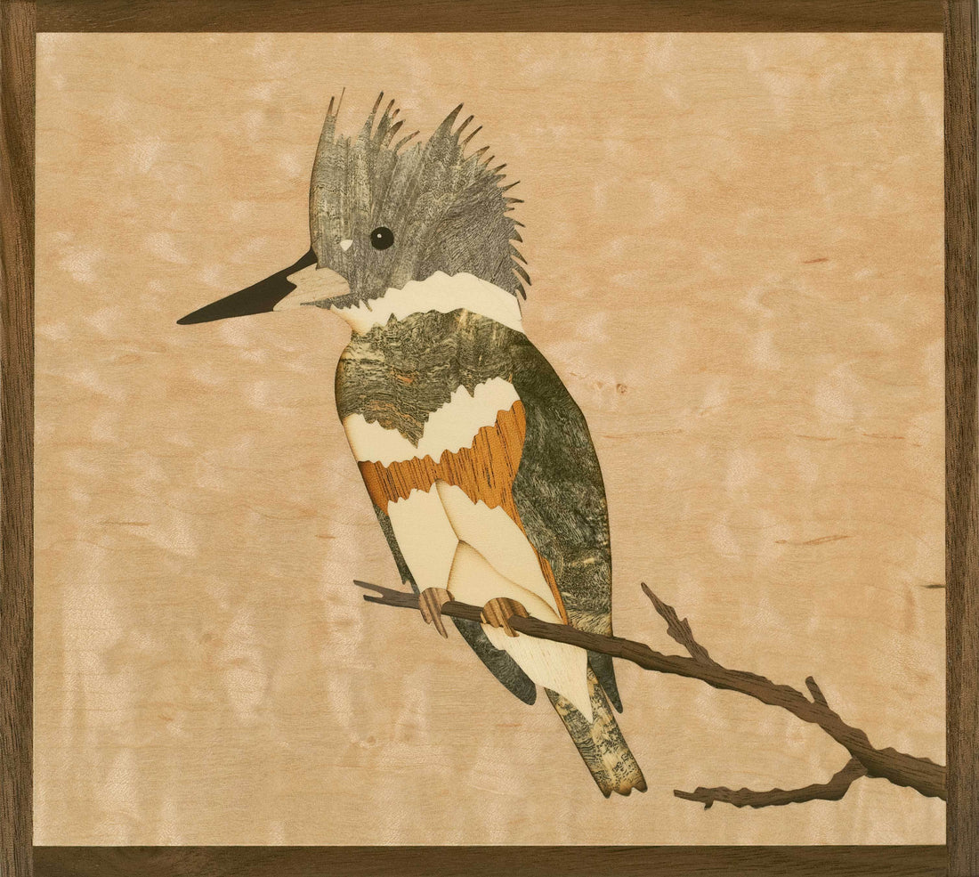 Kingfisher Inlay - Buckeye Burl