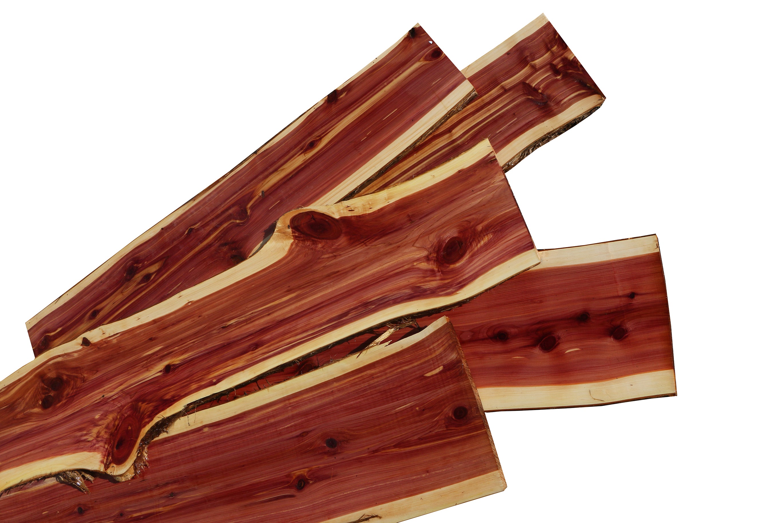 Cedar Cook Eastern Red Cedar – Cook Woods