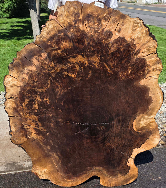 Claro Walnut Burl Cookie