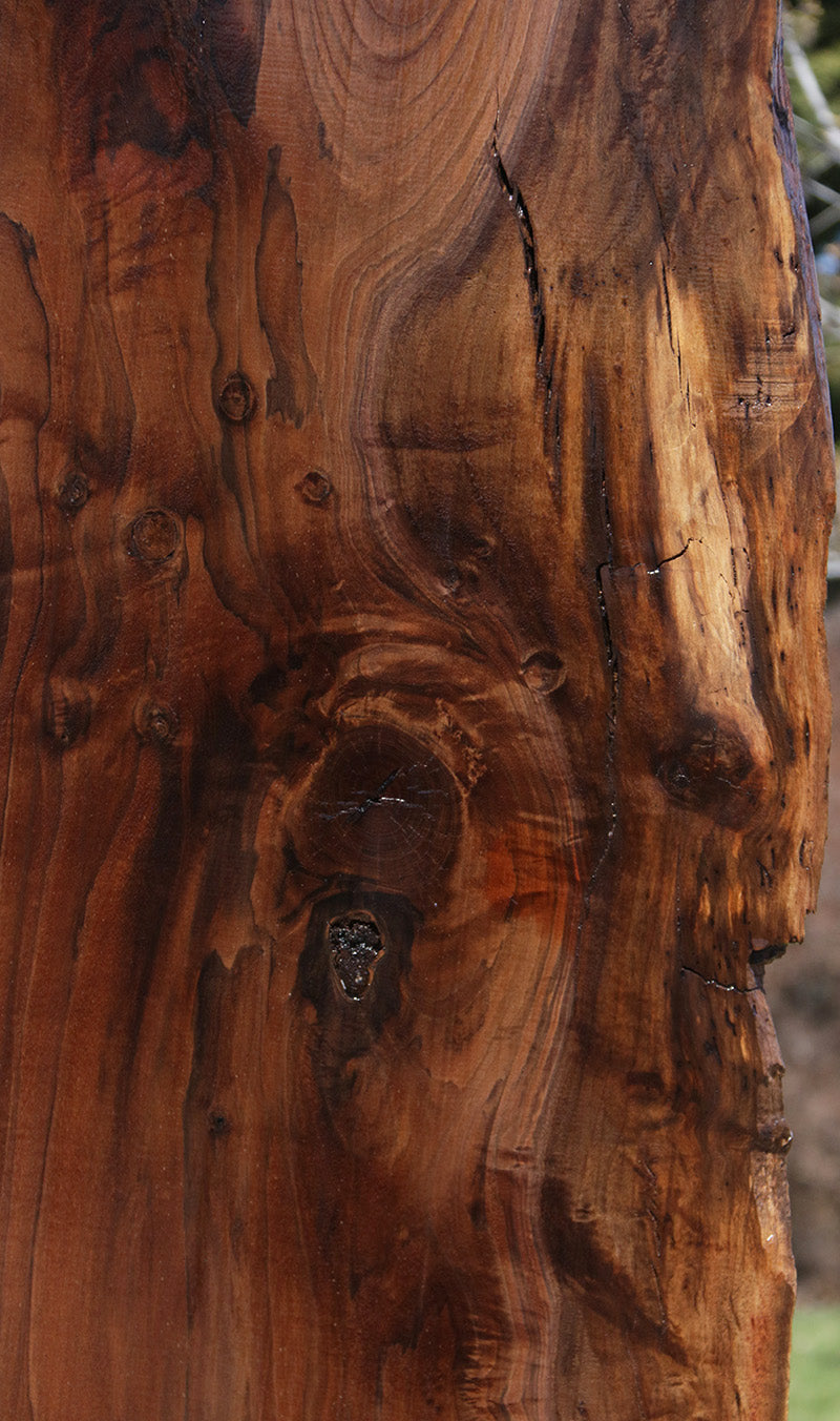 Extra Fancy Rustic Claro Walnut Live Edge Slab (Free Shipping Excluded)