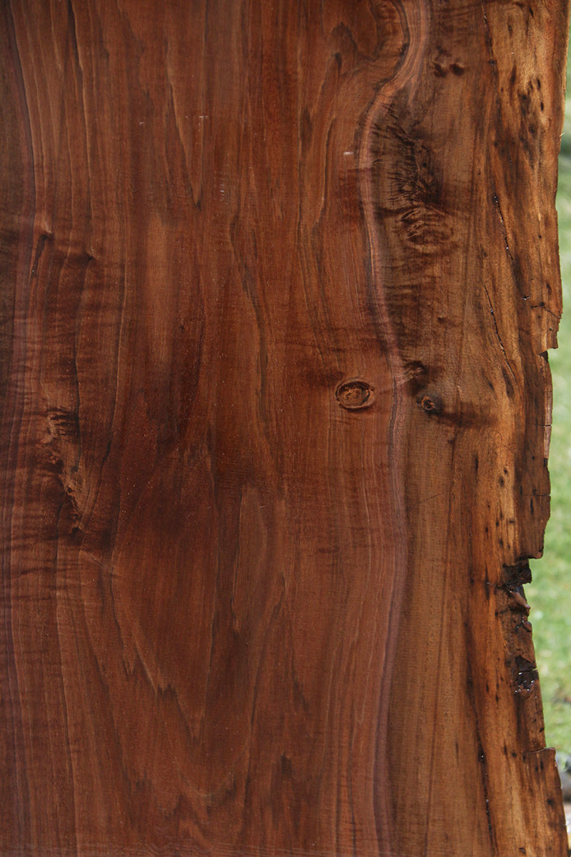Extra Fancy Rustic Claro Walnut Live Edge Slab (Free Shipping Excluded)