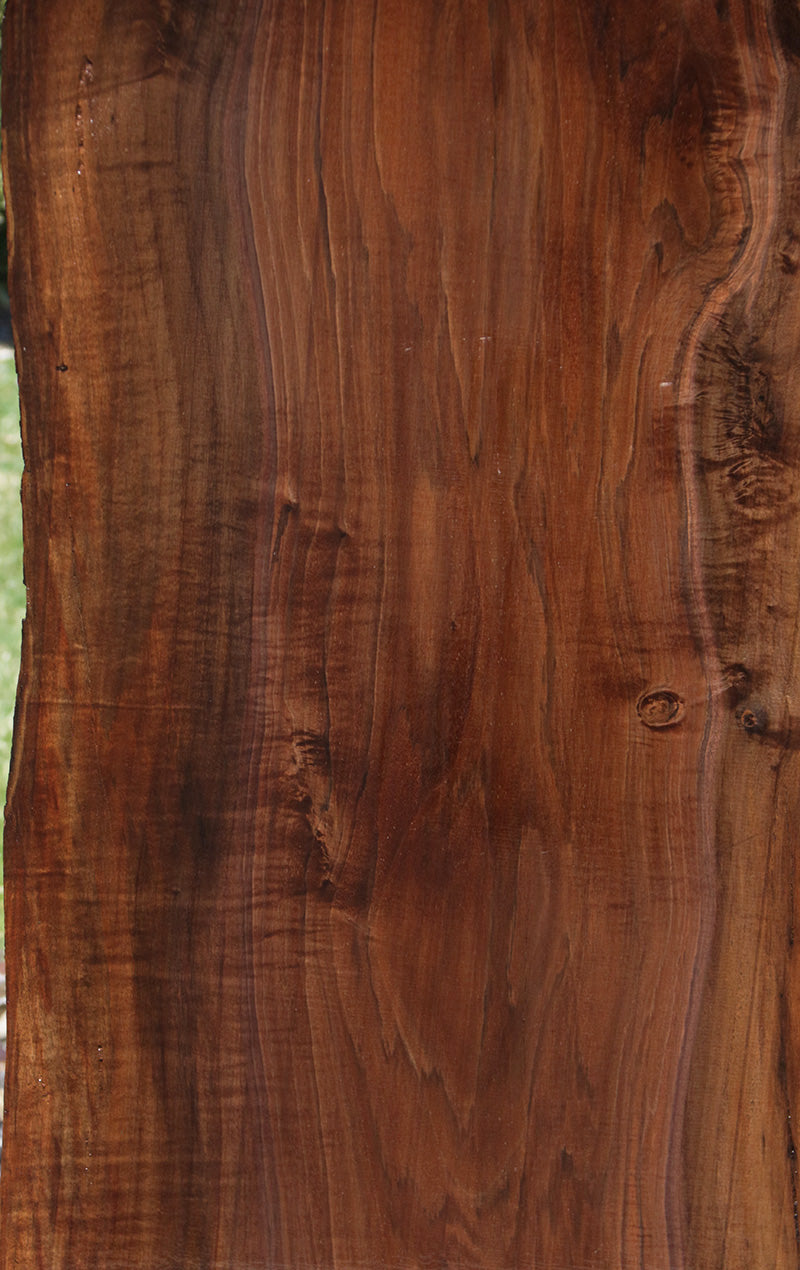 Extra Fancy Rustic Claro Walnut Live Edge Slab (Free Shipping Excluded)