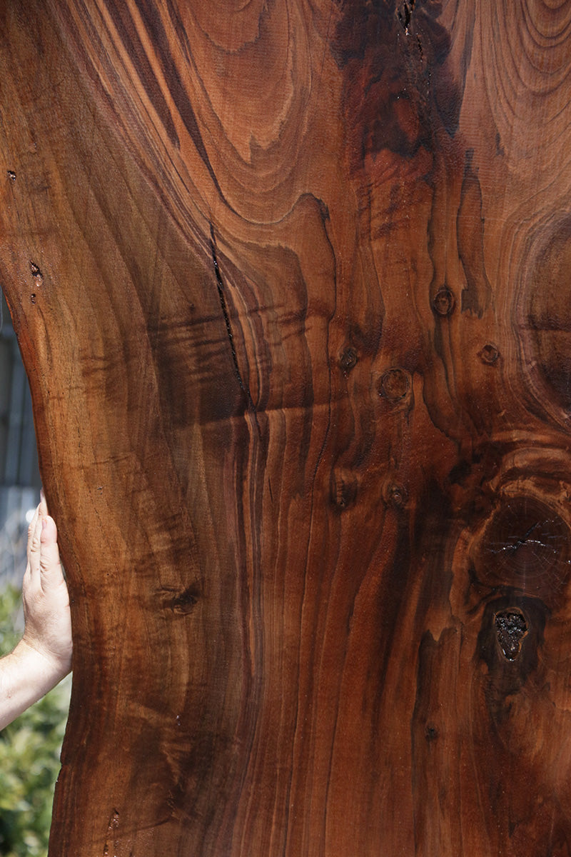 Extra Fancy Rustic Claro Walnut Live Edge Slab (Free Shipping Excluded)