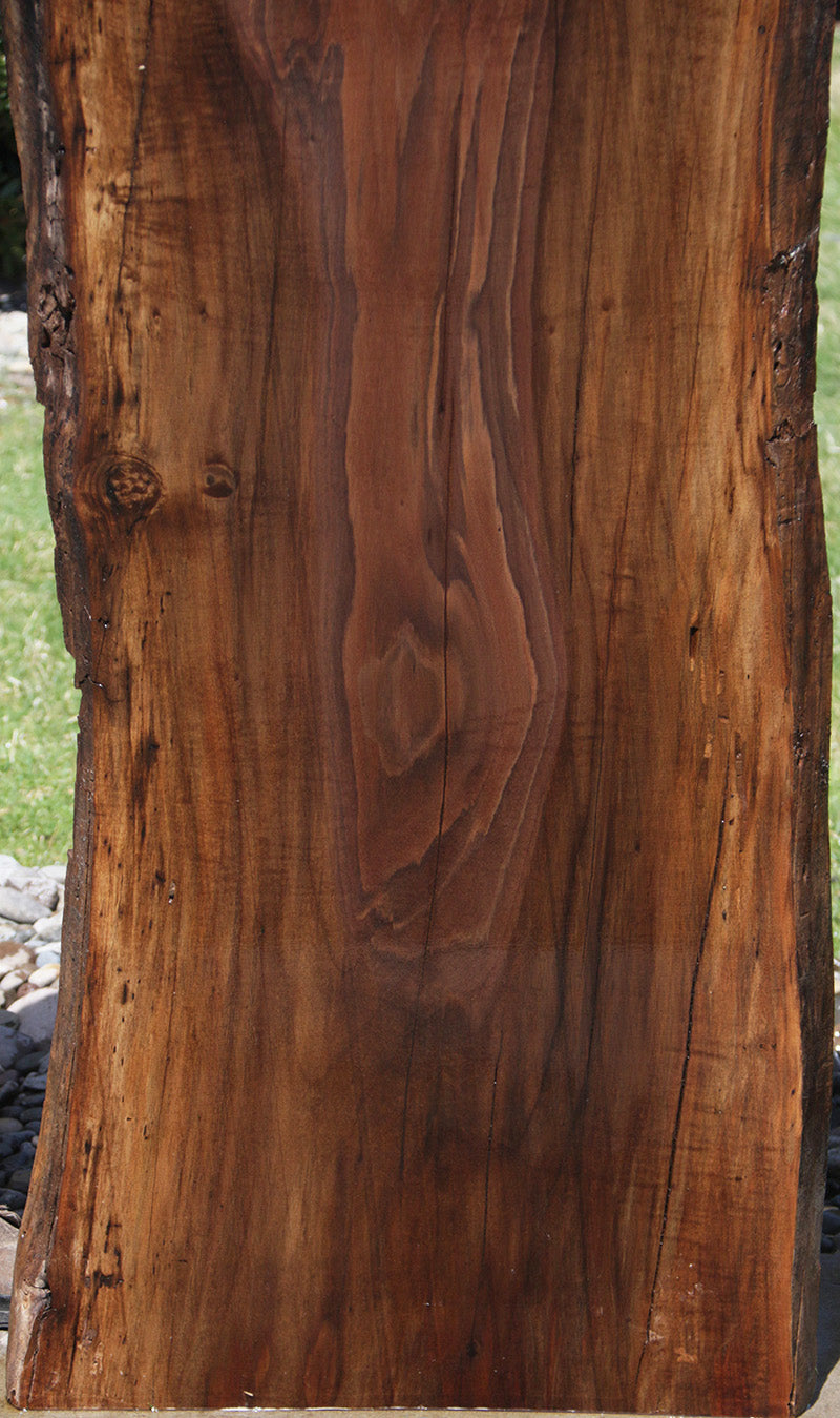 Extra Fancy Rustic Claro Walnut Live Edge Slab (Free Shipping Excluded)