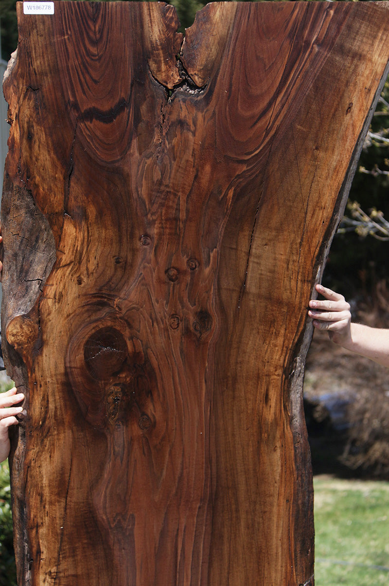 Extra Fancy Rustic Claro Walnut Live Edge Slab (Free Shipping Excluded)