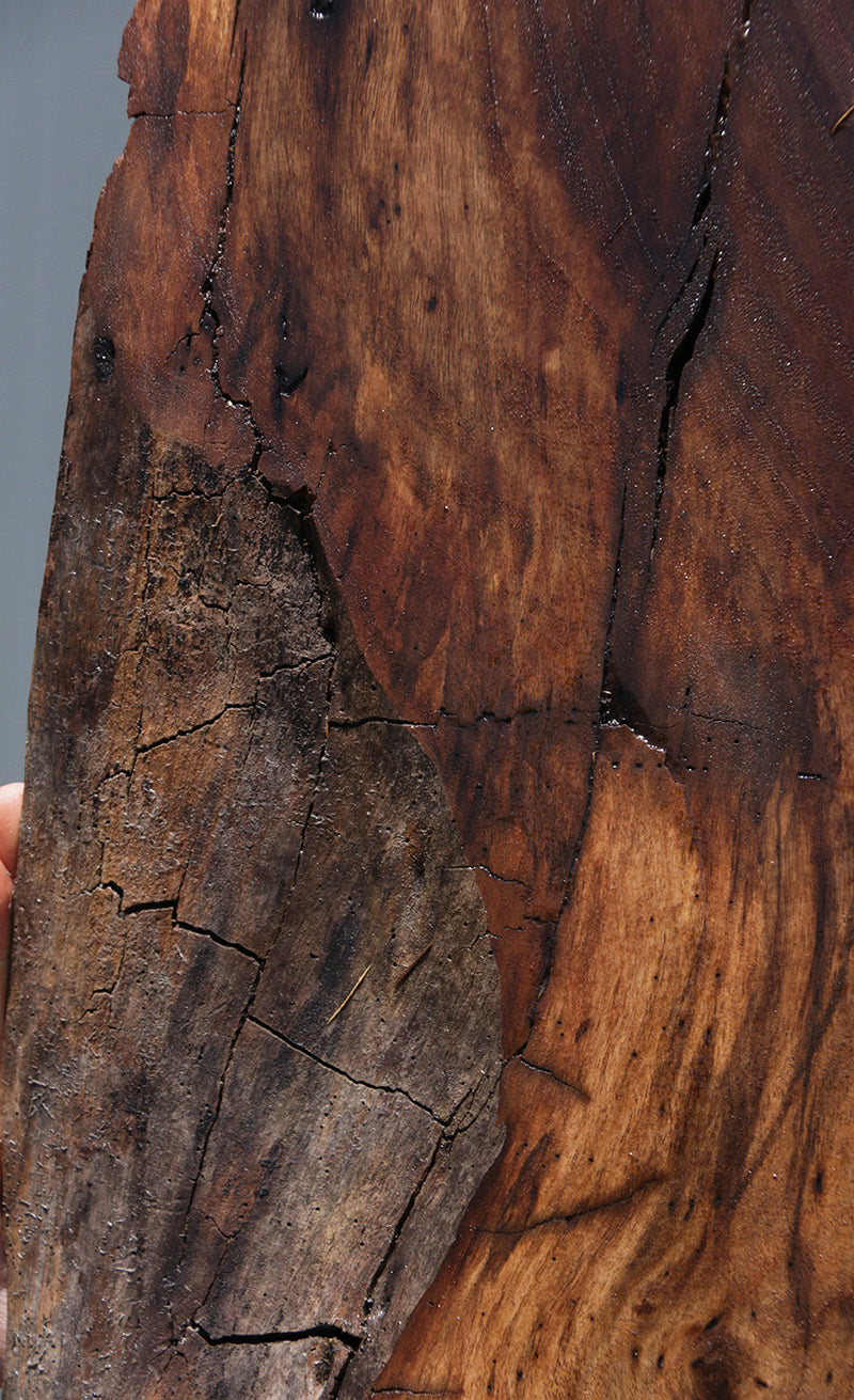 Extra Fancy Rustic Claro Walnut Live Edge Slab (Free Shipping Excluded)
