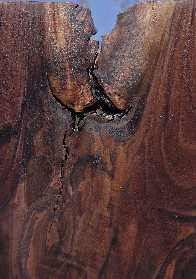 Extra Fancy Rustic Claro Walnut Live Edge Slab (Free Shipping Excluded)