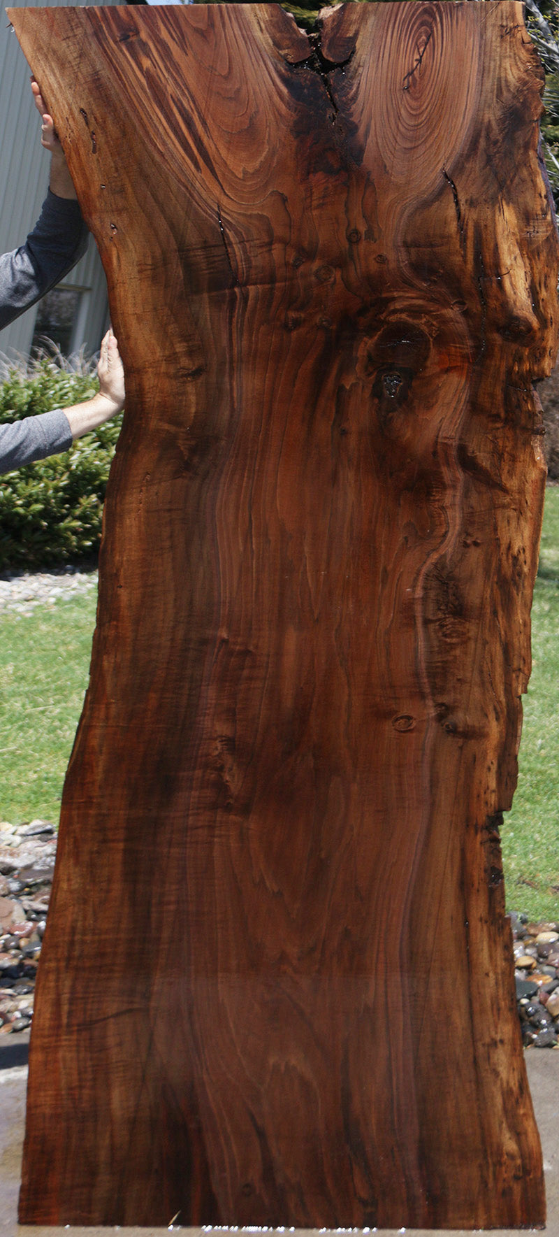 Extra Fancy Rustic Claro Walnut Live Edge Slab (Free Shipping Excluded)