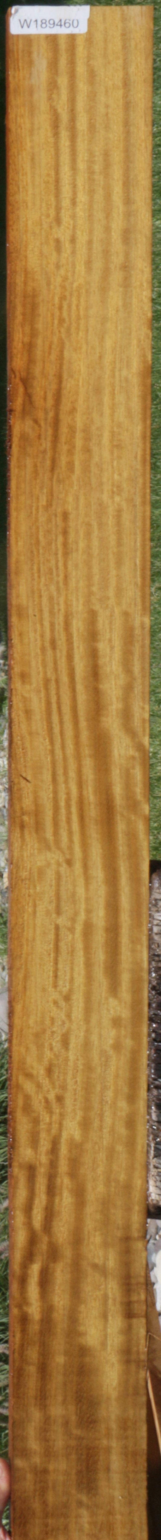 Fiddleback African Teak Lumber