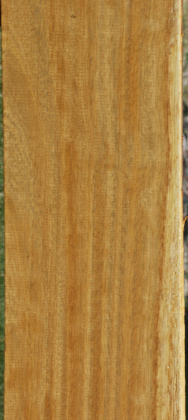 Extra Fancy African Teak Lumber