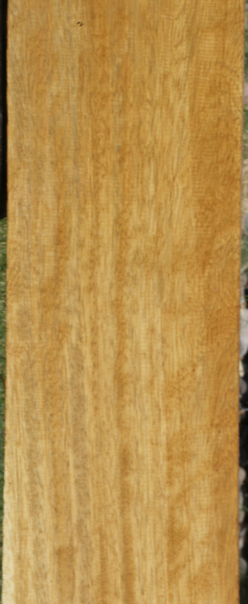 Extra Fancy African Teak Lumber Cook Woods