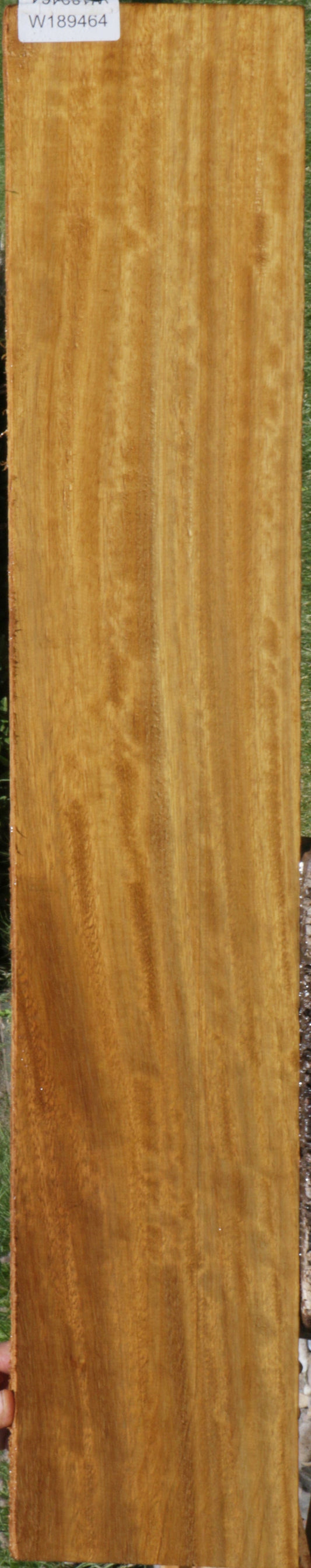 Fiddleback African Teak Lumber