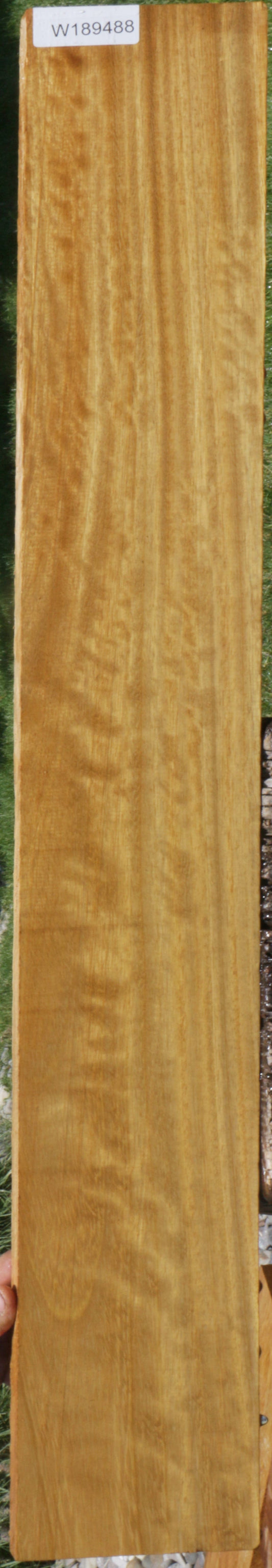 Fiddleback African Teak Lumber