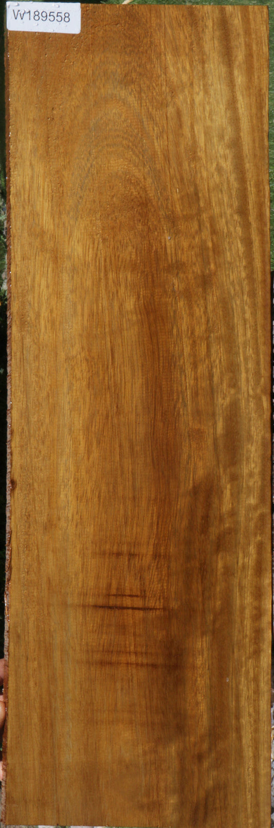 African Teak Lumber
