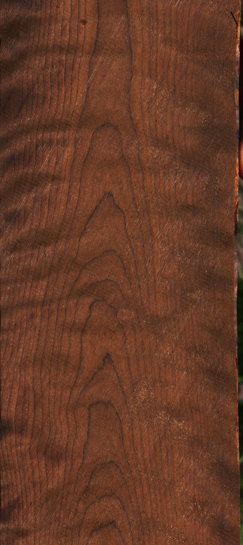 Extra Fancy Baked Birch Lumber