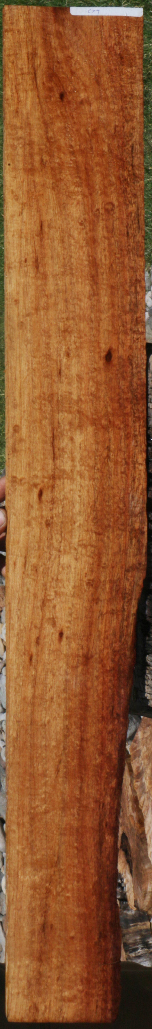 Hawaiian Koa Live Edge Micro Lumber