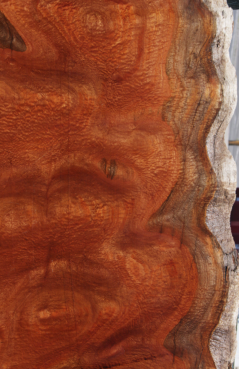 Rustic Pomelle Sapele Live Edge Slab (Free Shipping Excluded)