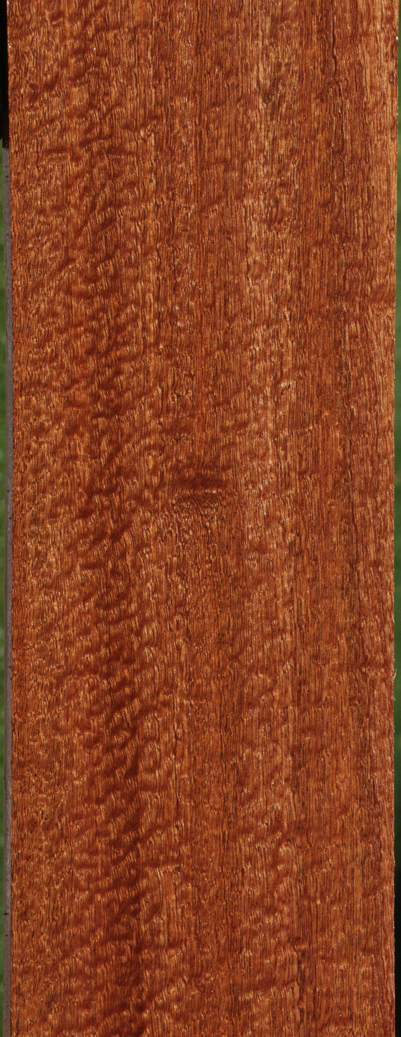 Exhibition Pomelle Sapele Lumber