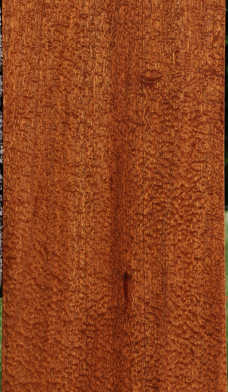 Exhibition Pomelle Sapele Instrument Lumber