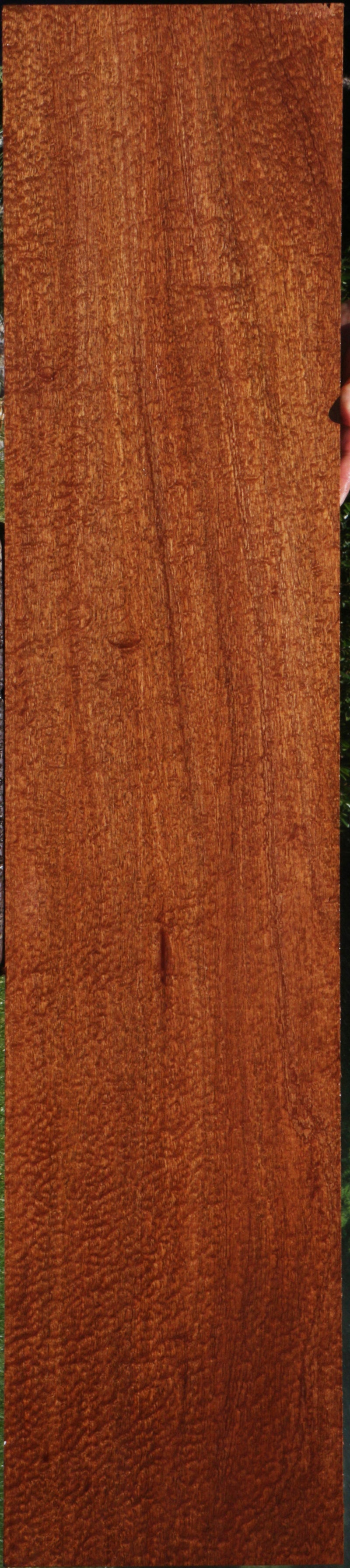 Exhibition Pomelle Sapele Instrument Lumber