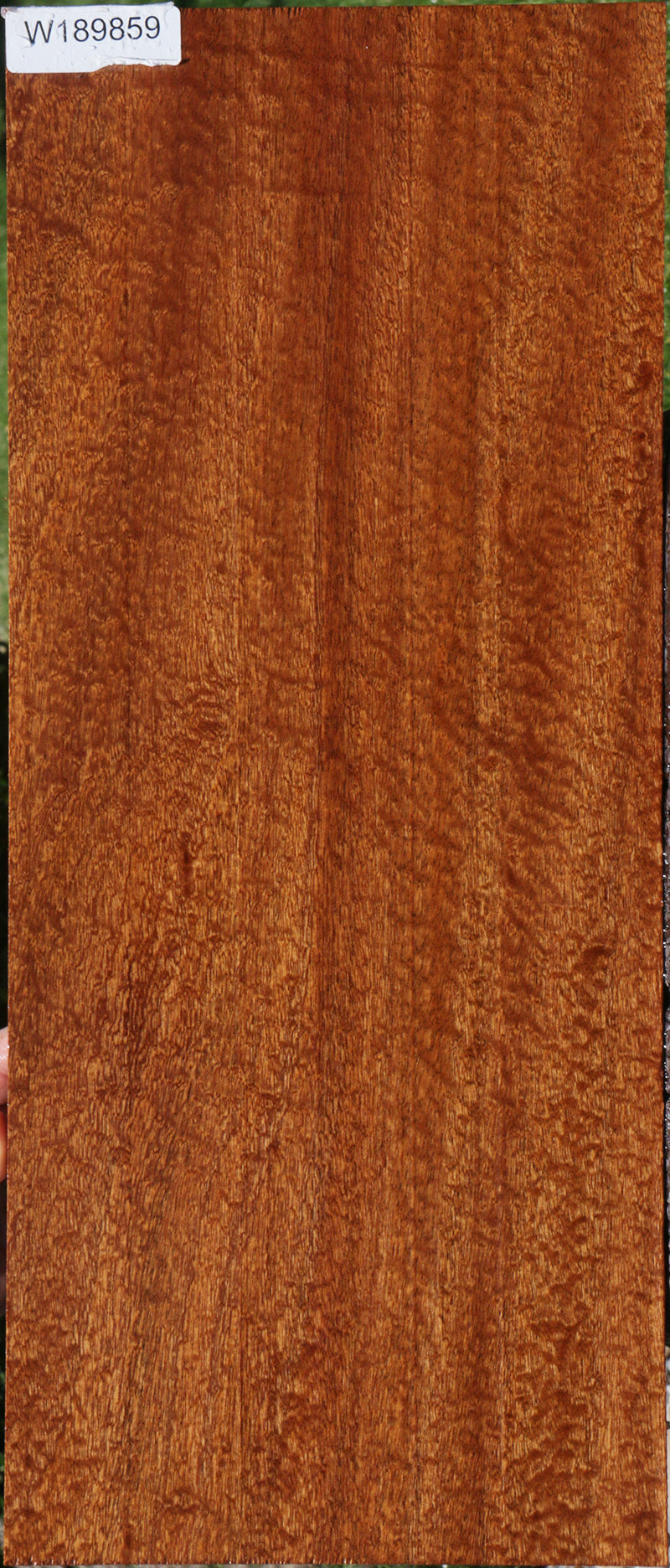 Exhibition Pomelle Sapele Instrument Lumber