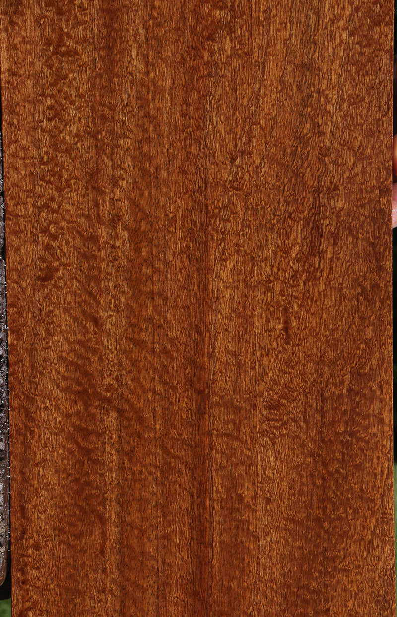 Exhibition Pomelle Sapele Instrument Lumber