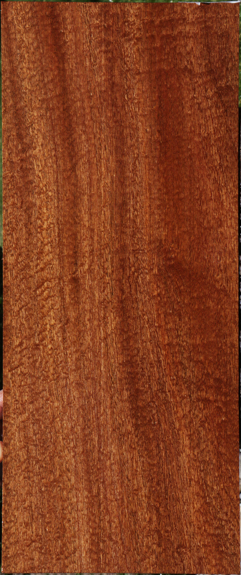 Exhibition Pomelle Sapele Instrument Lumber