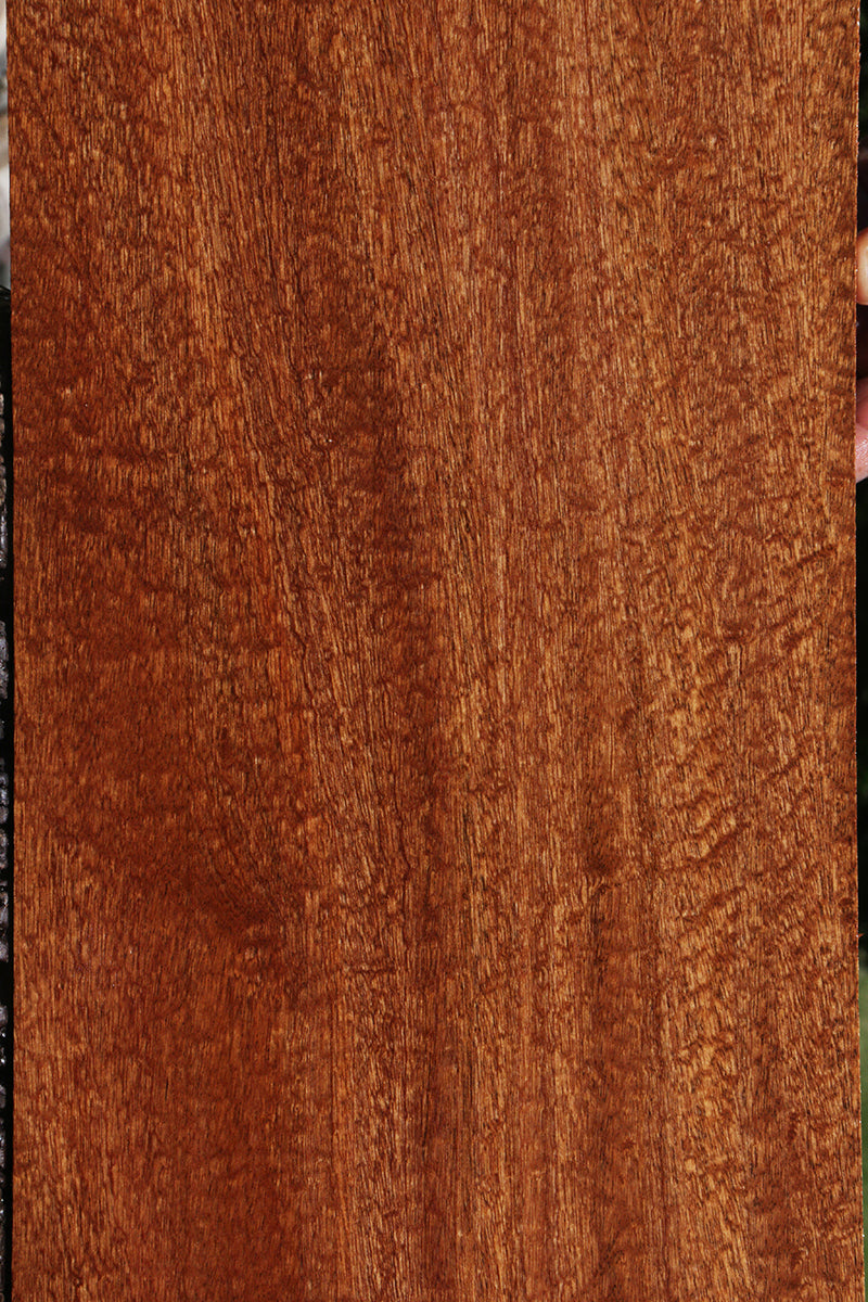 Exhibition Pomelle Sapele Instrument Lumber