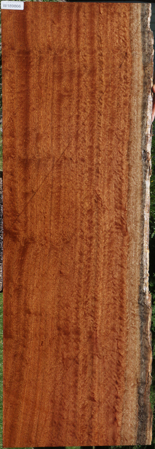 Pomelle Sapele Live Edge Lumber