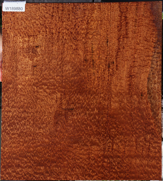 Rustic Pomelle Sapele Lumber