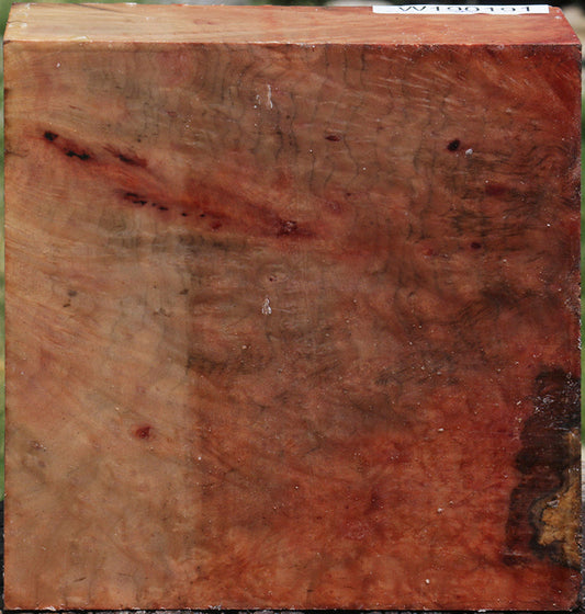 Extra Fancy Madrone Bowl Blank