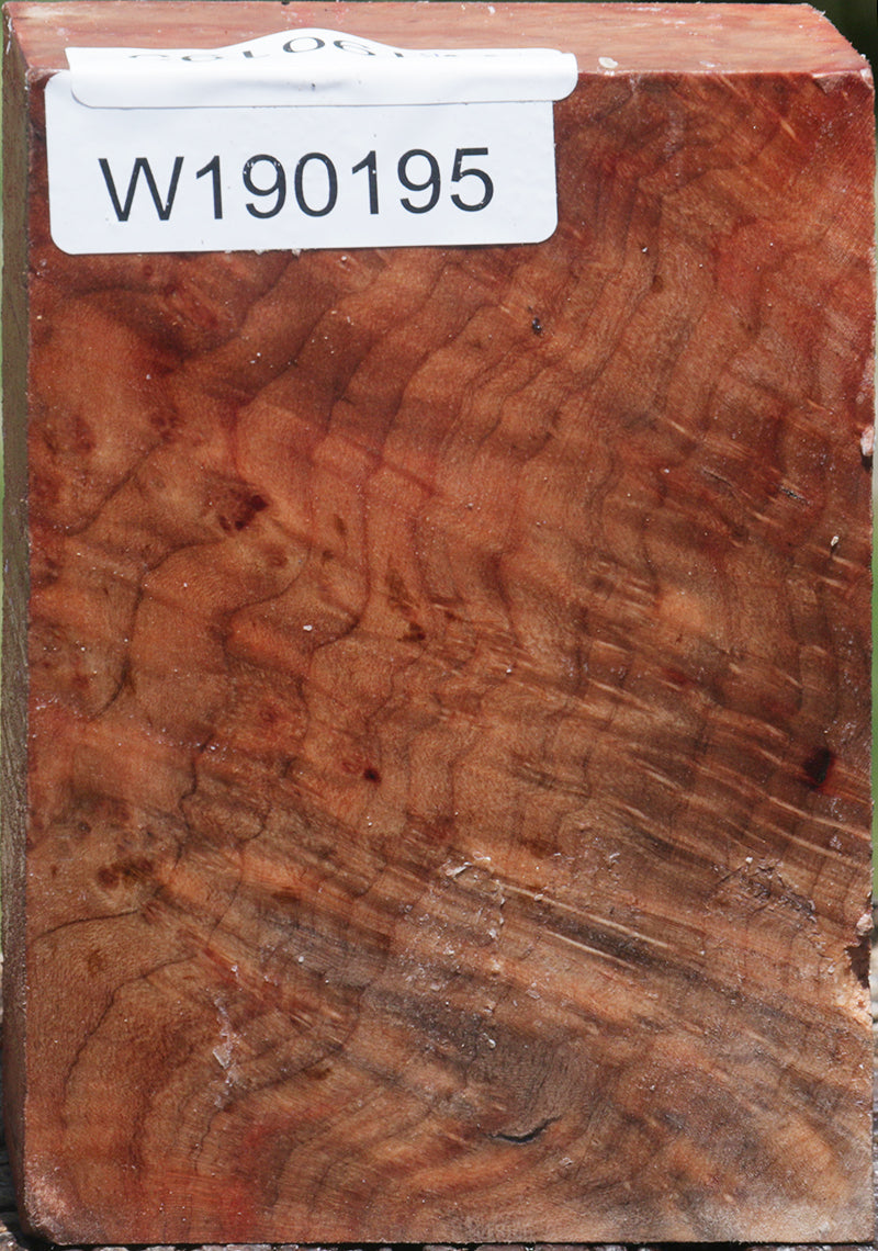 Madrone Burl Turning Blank