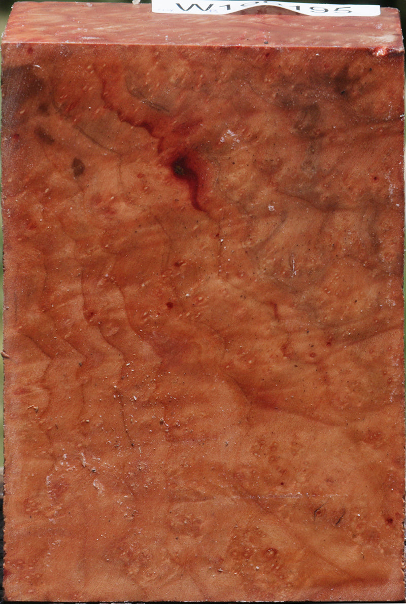 Madrone Burl Turning Blank