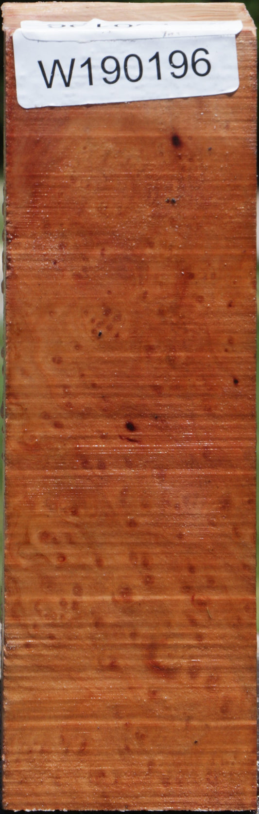 Madrone Burl Peppermill