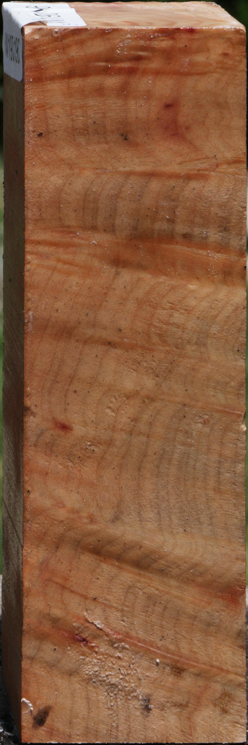 Madrone Burl Peppermill