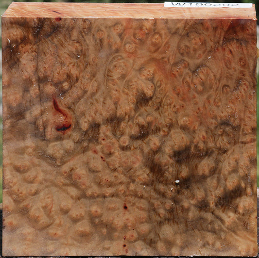 Madrone Burl Bowl Blank