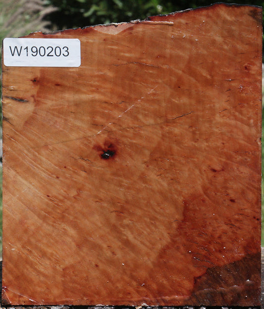 Madrone Burl Live Edge Bowl Blank