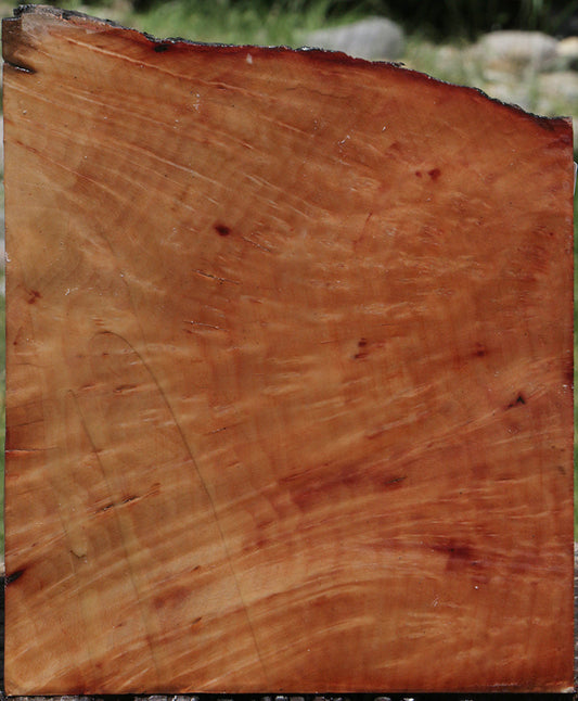 Madrone Burl Live Edge Bowl Blank