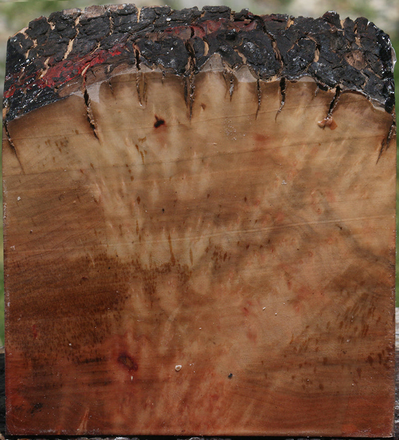 Madrone Live Edge Bowl Blank