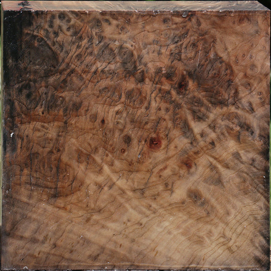 Madrone Burl Bowl Blank